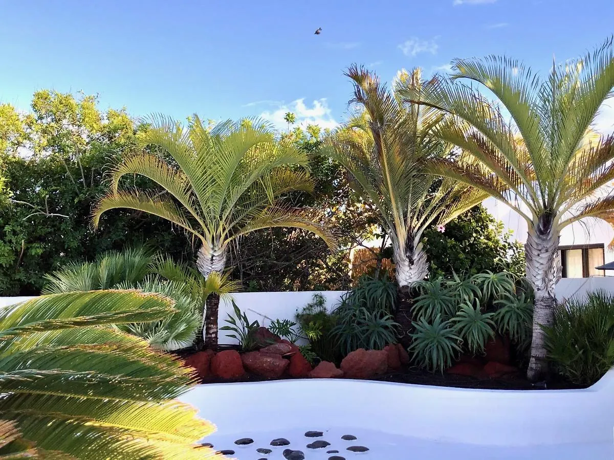 Villa Picasso Private Pool Playa Blanca   Playa Blanca (Lanzarote)